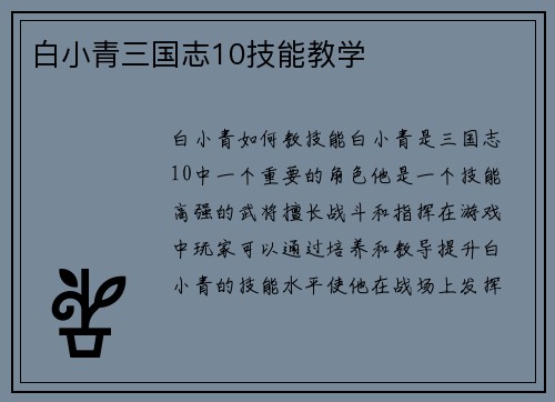 白小青三国志10技能教学
